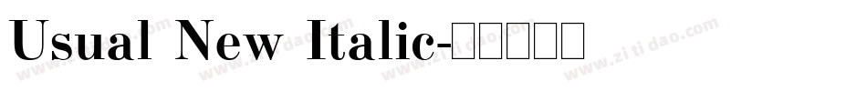 Usual New Italic字体转换